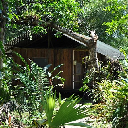 Hakuna Matata Lodge Archidona Exterior foto