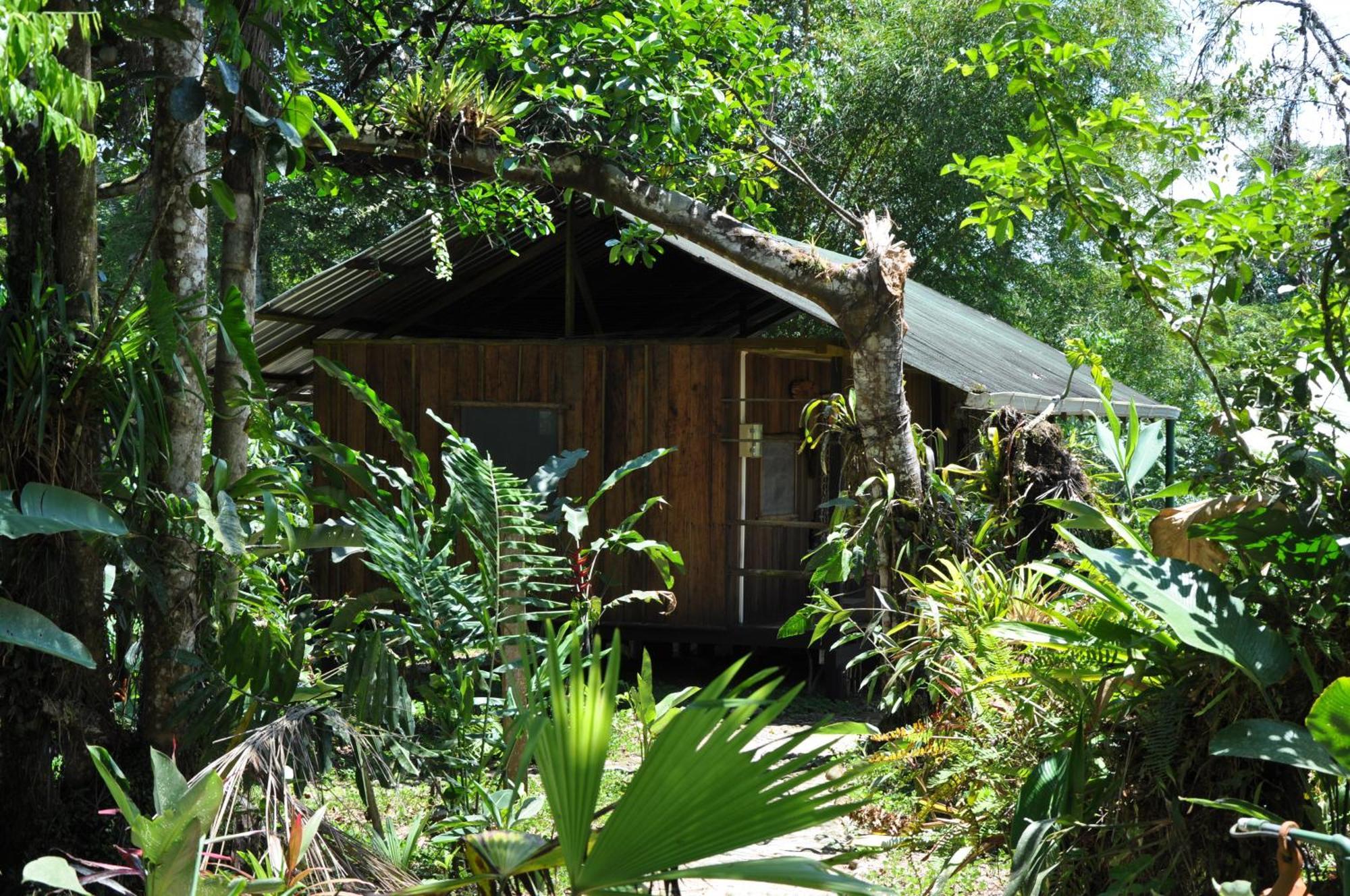 Hakuna Matata Lodge Archidona Exterior foto