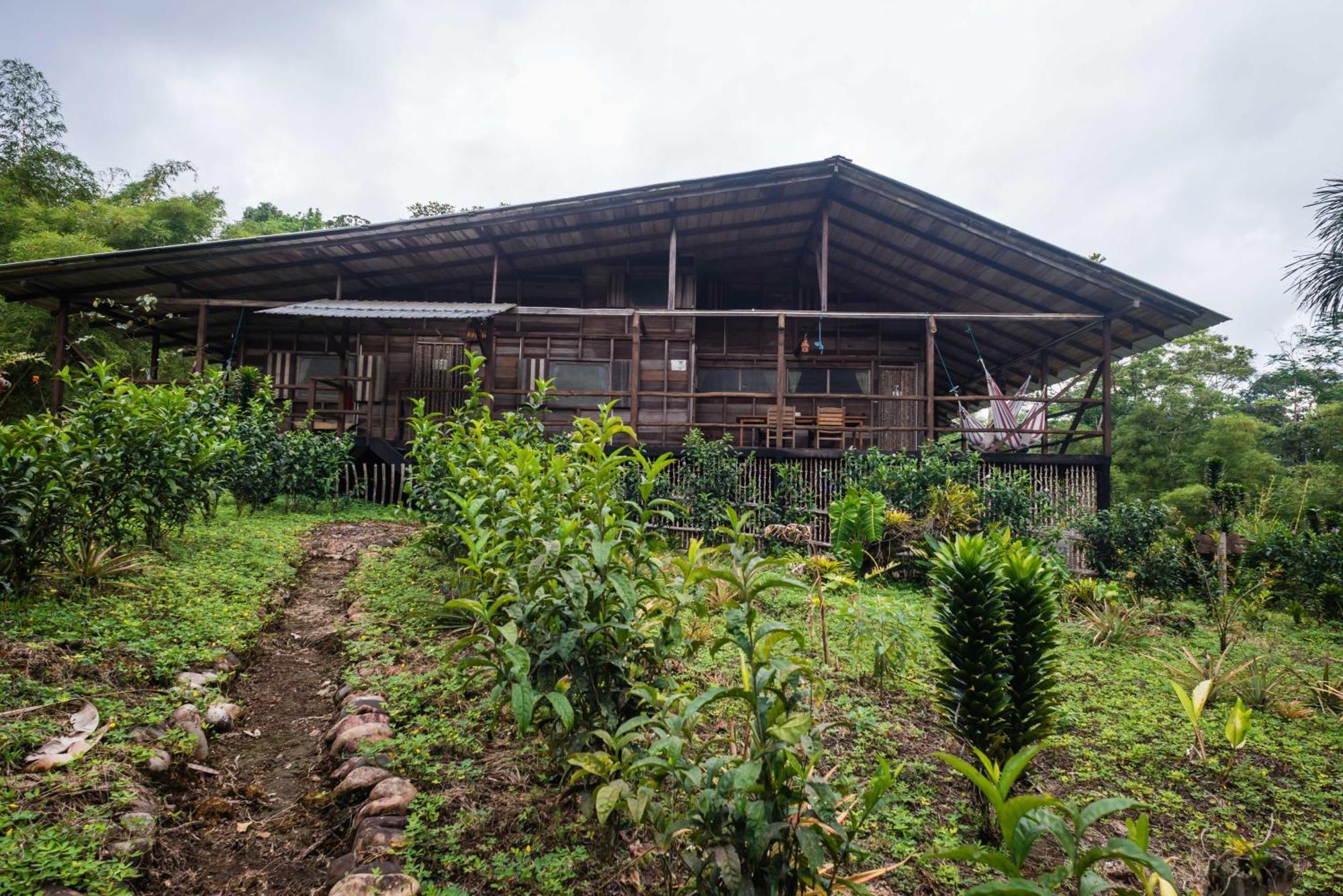 Hakuna Matata Lodge Archidona Habitación foto